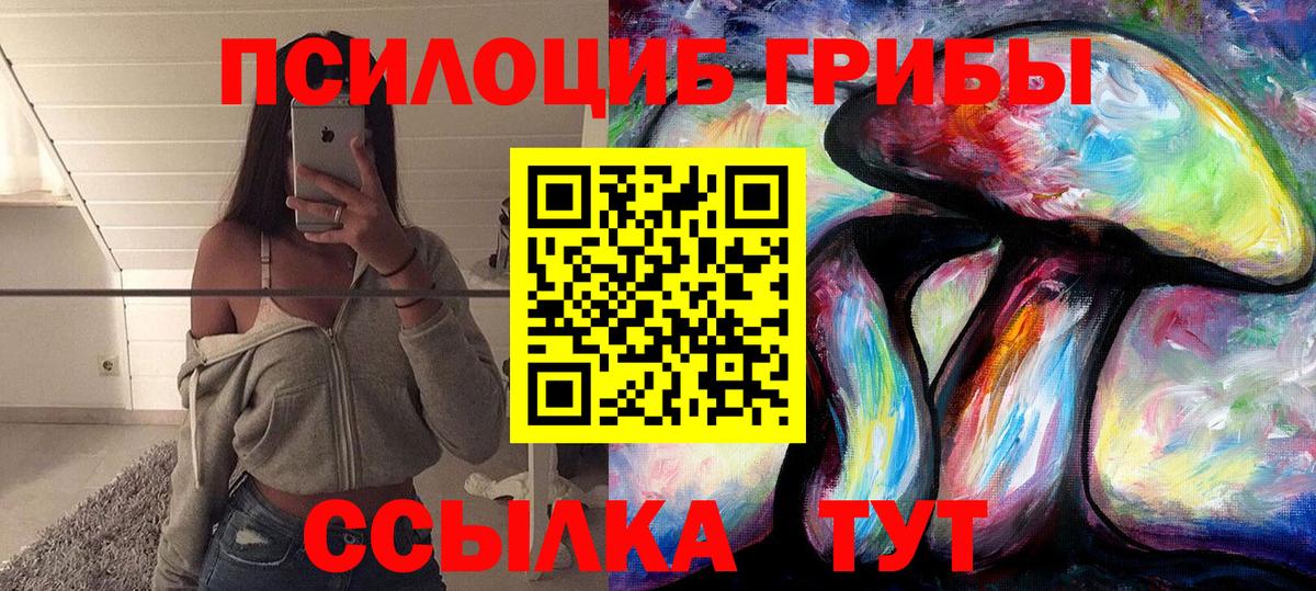 Галлюциногенные грибы Psilocybine cubensis  Вход с VPN  Псилоцибиновые грибы Cubensis  Коркино 